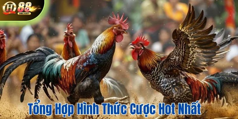 Tổng hợp các hình thức cược hot nhất