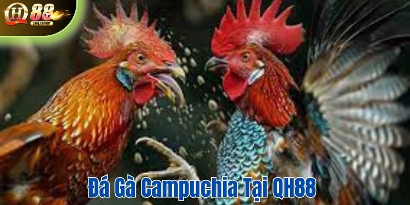 Đá gà Campuchia tại QH88