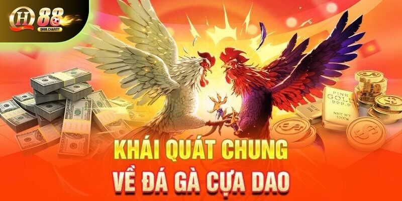 Đá gà cựa dao tại QH88