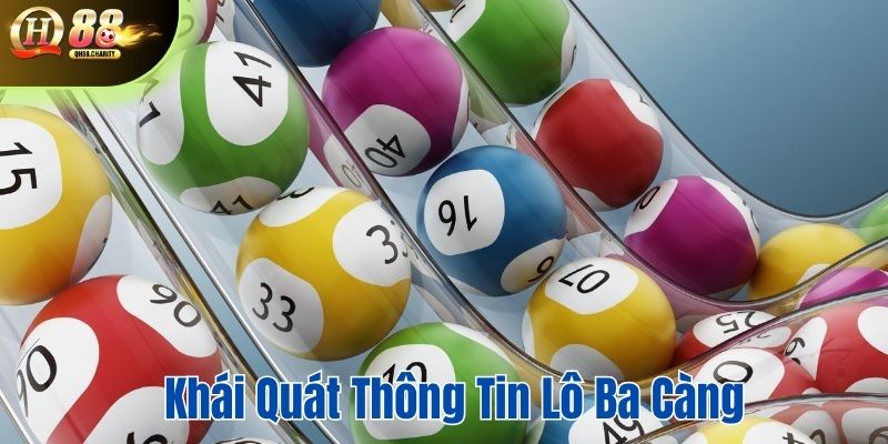 Khái quát thông tin lô ba càng dành cho tân binh